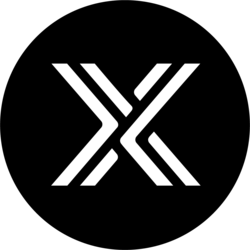 Immutable X Icon