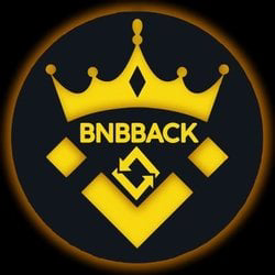 BNBBACK Icon