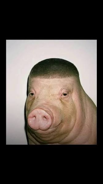 Pig (bbshdogg) Farcaster social identity (Fname handle) PFP