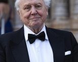 David Attenborough to finish A Perfect Planet from home