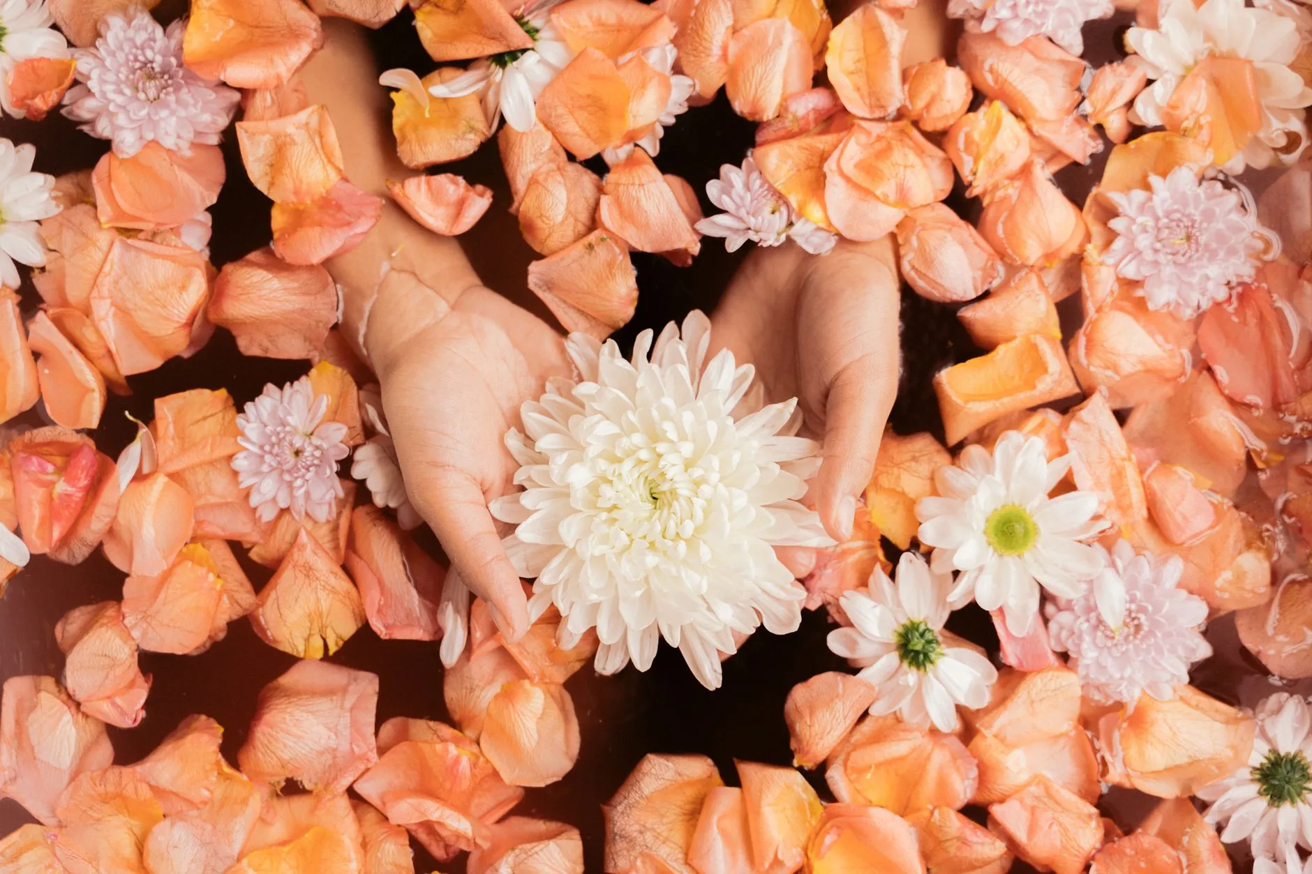 two hands cupping a white flower above bathwater covered in orange petals