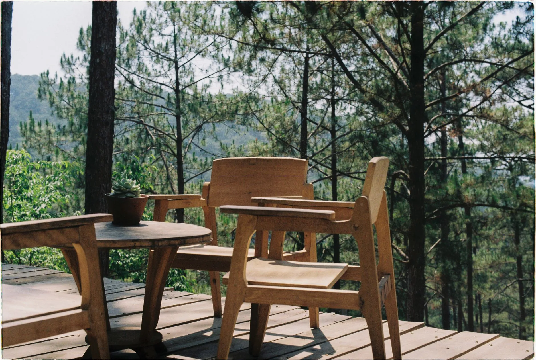 A timber deck with a table and chairs among tall pines in bright sun