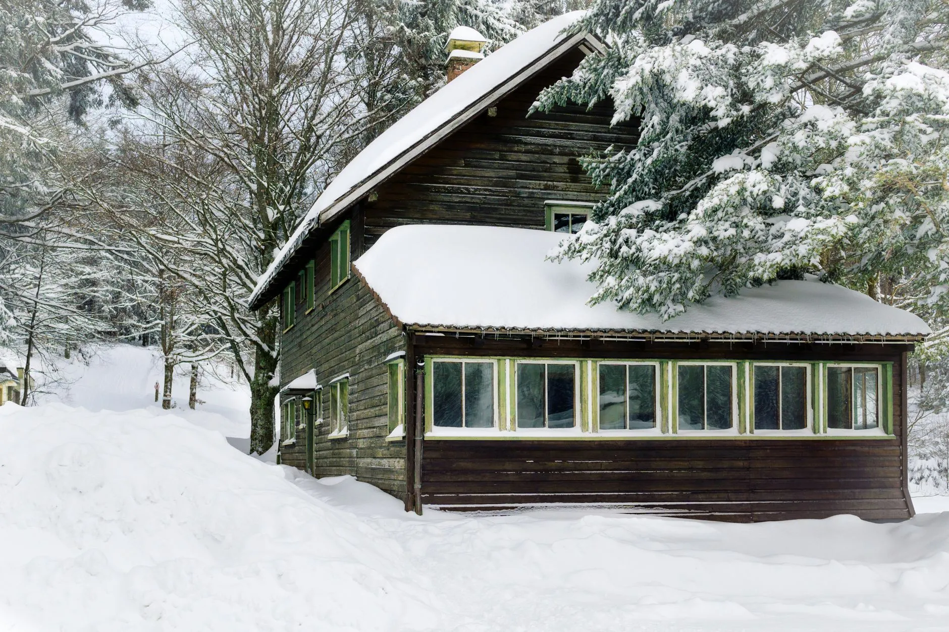 A dark timber lodge under snow among tall pines