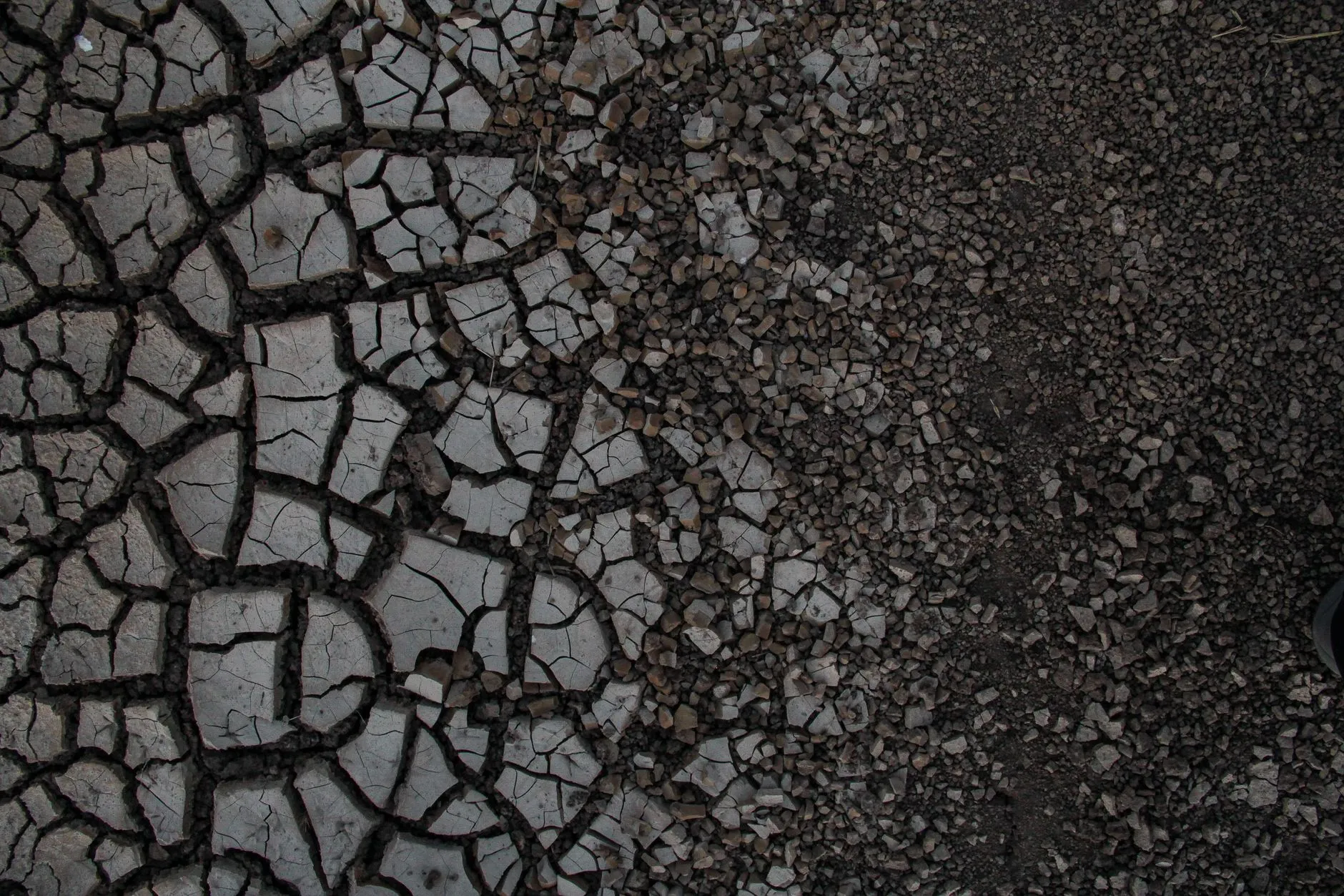 asphalt broken into a mosaic of alligator cracking and crumbling into loose stone
