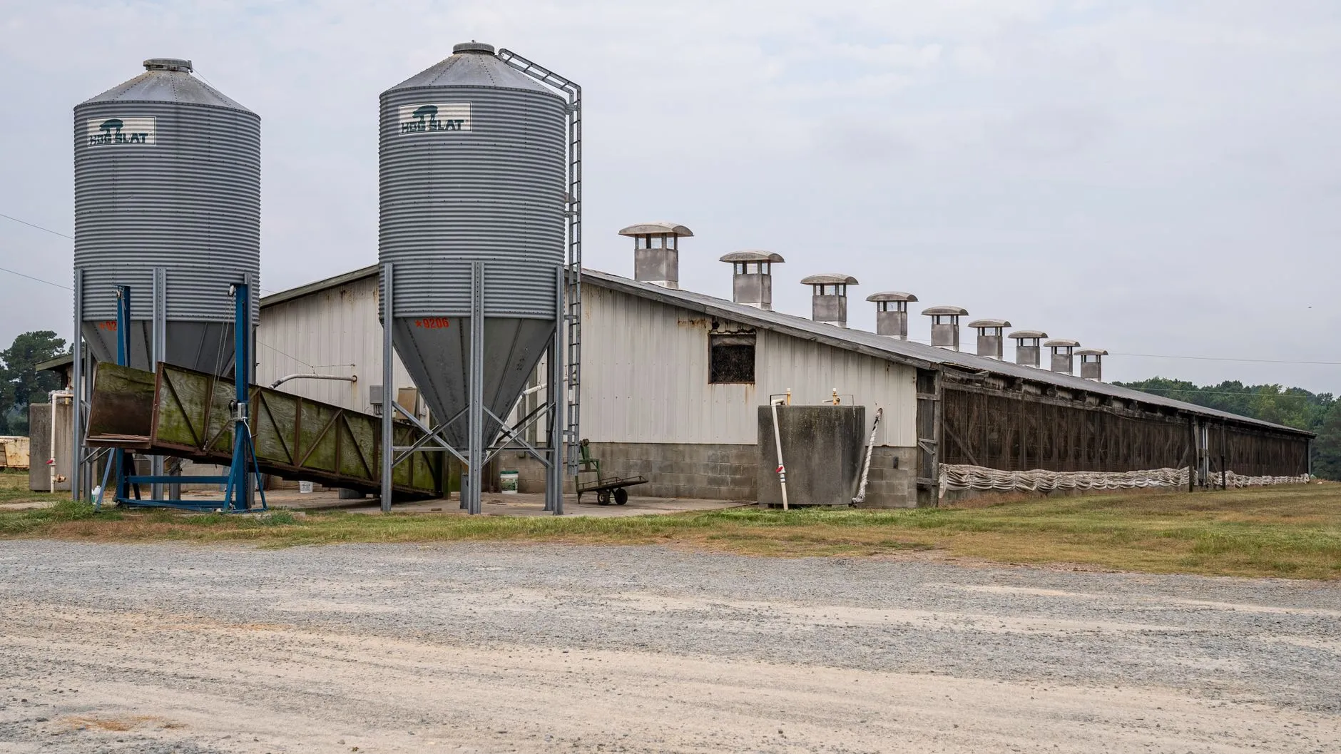a long metal livestock barn with roof vents and grain bins alongside