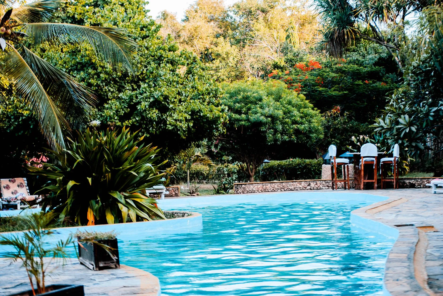 a backyard swimming pool