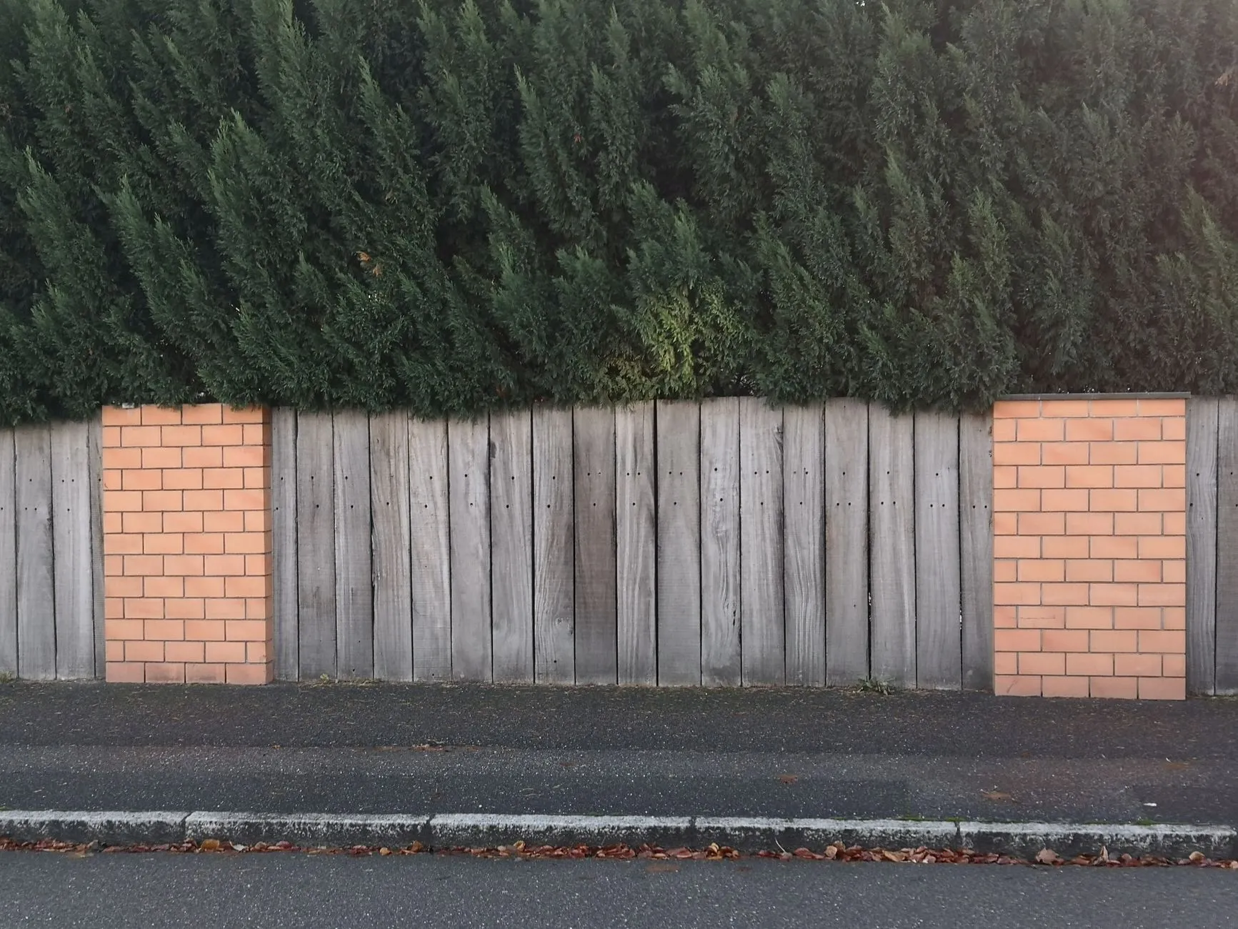 a new cedar fence with clean matching boards in a yard