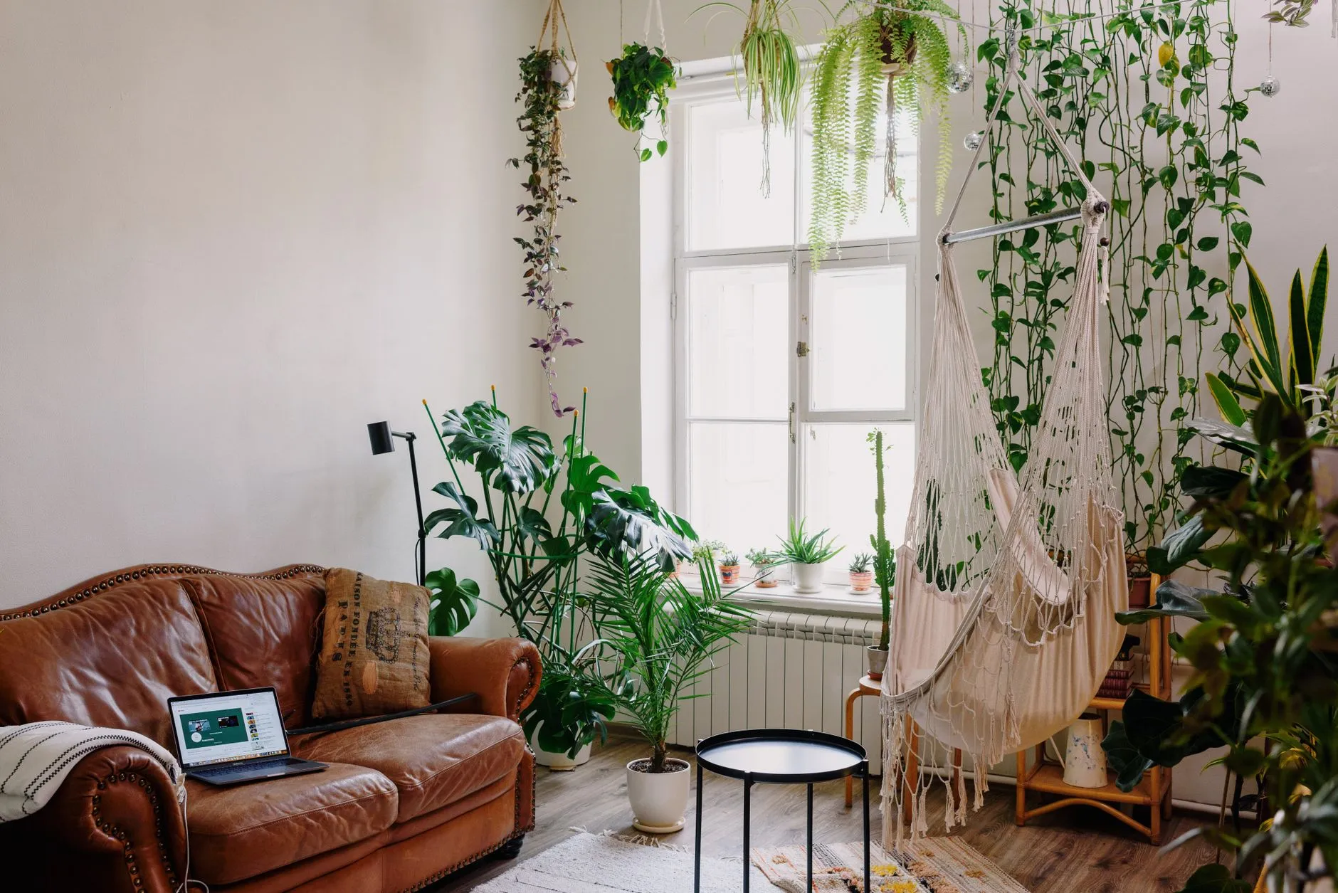 a layered boho living room with a low sofa woven textiles and hanging plants