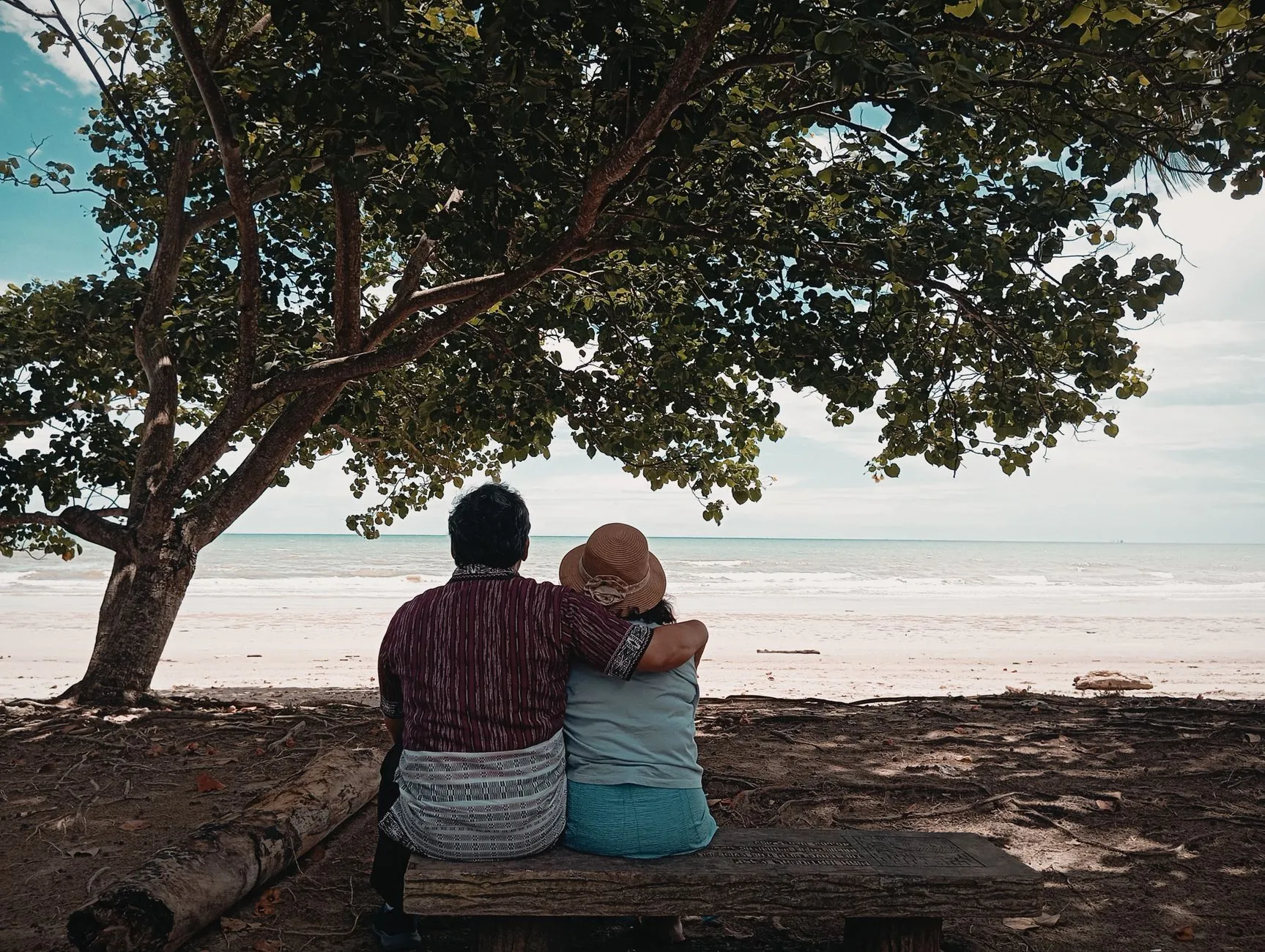 couple sitting together under a tree looking out at the ocean, seen from behind