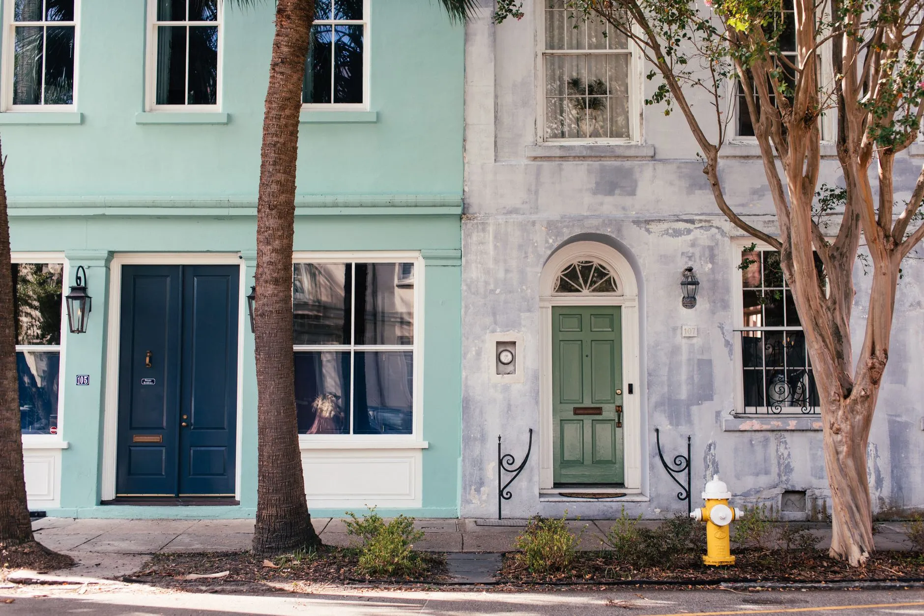 pastel townhouse fronts on a tree lined street