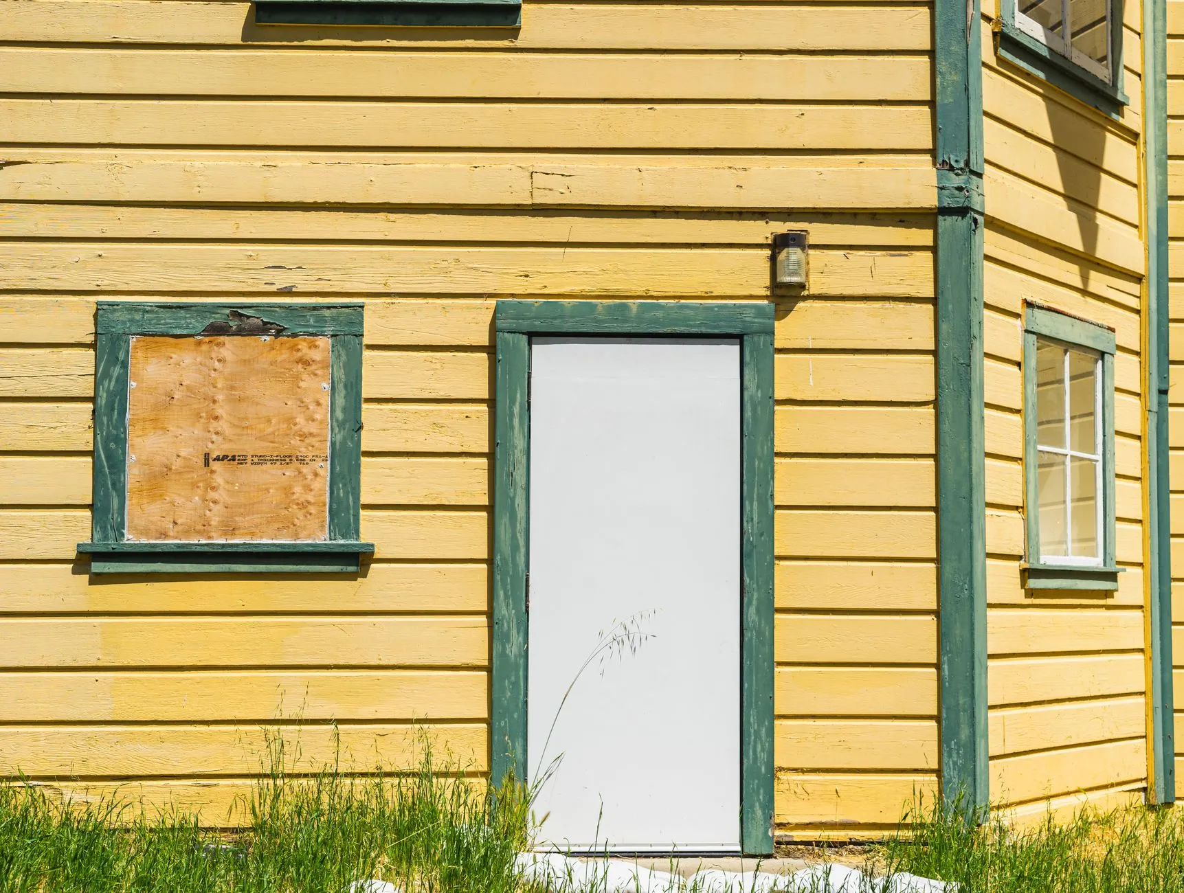 close-up of a freshly painted house exterior wall and trim in sunlight