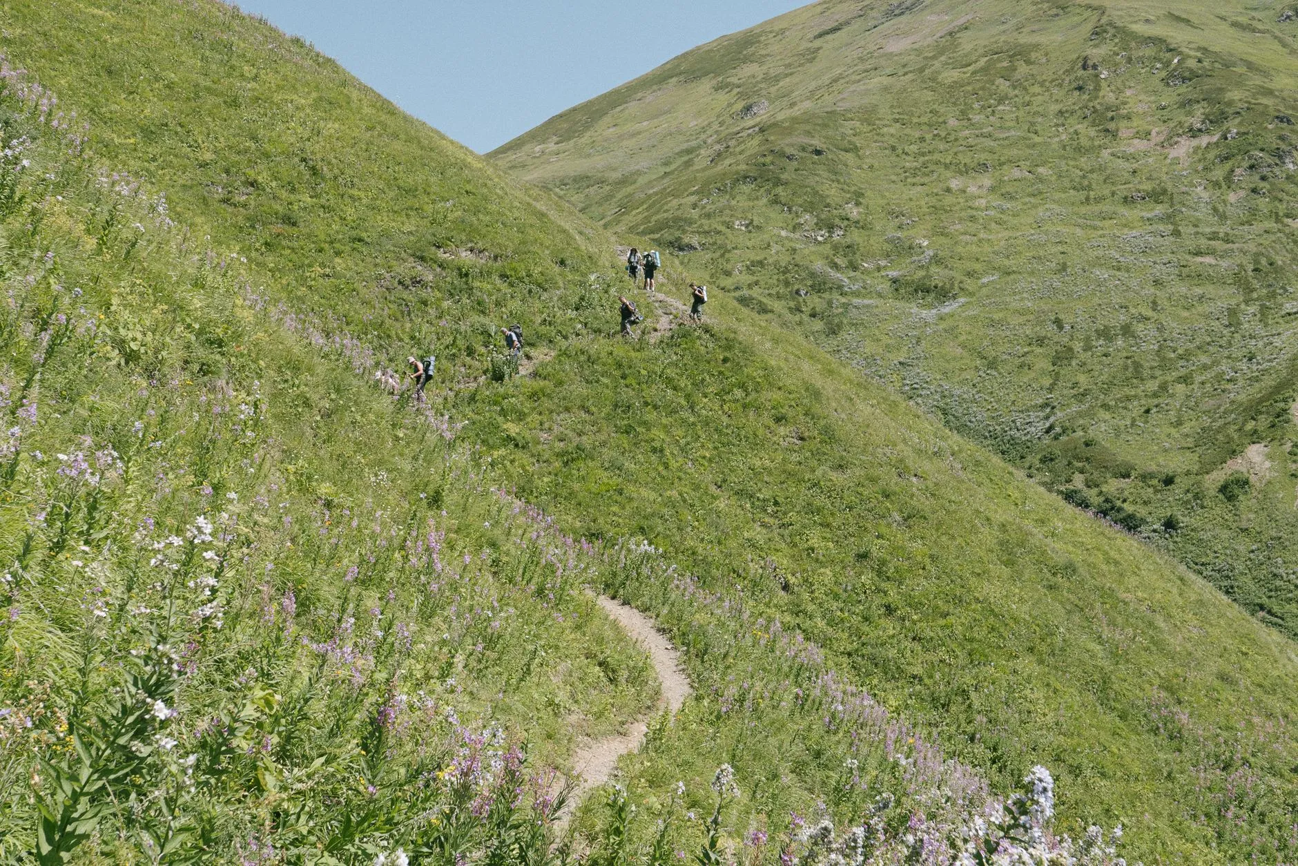 Green mountain slopes above Park City in summer