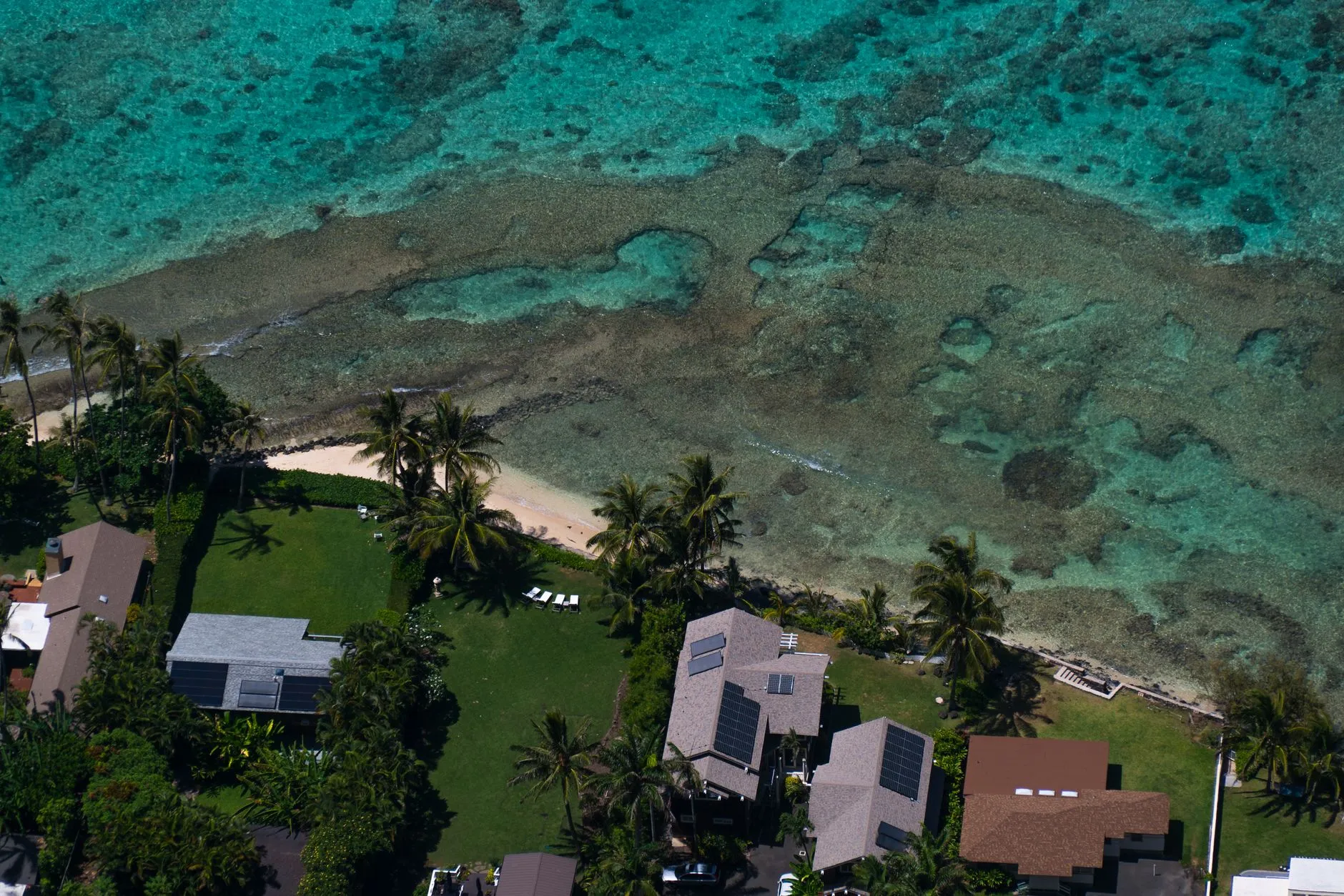 an aerial view of homes with rooftop solar panels near a turquoise coastline and palm trees