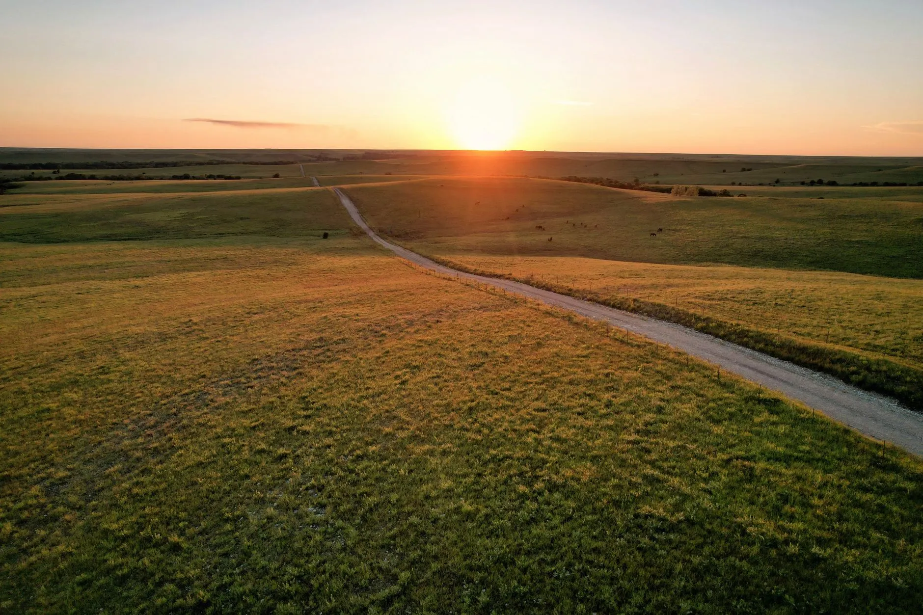 a dirt road winding through open Kansas fields at sunset