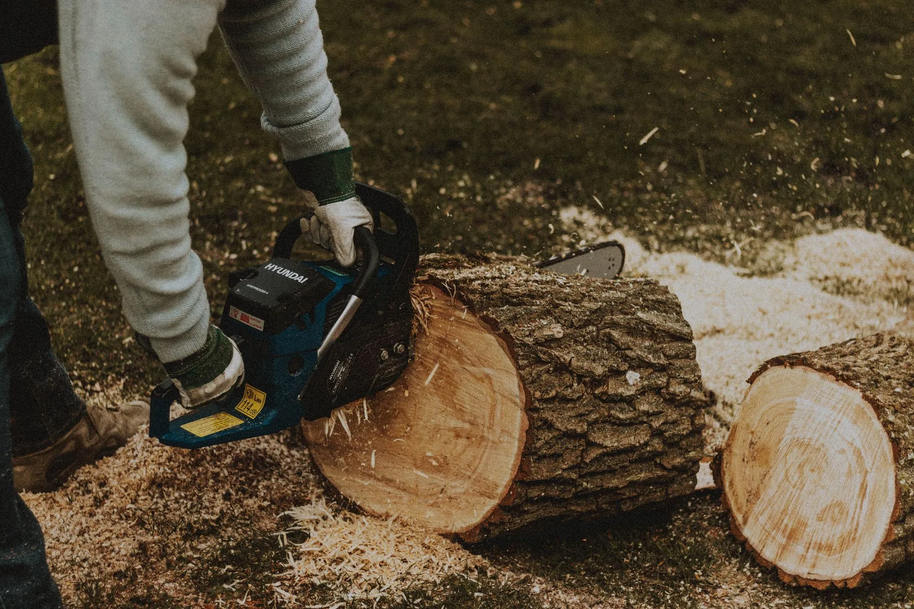 a large tree trunk being cut into logs in a yard