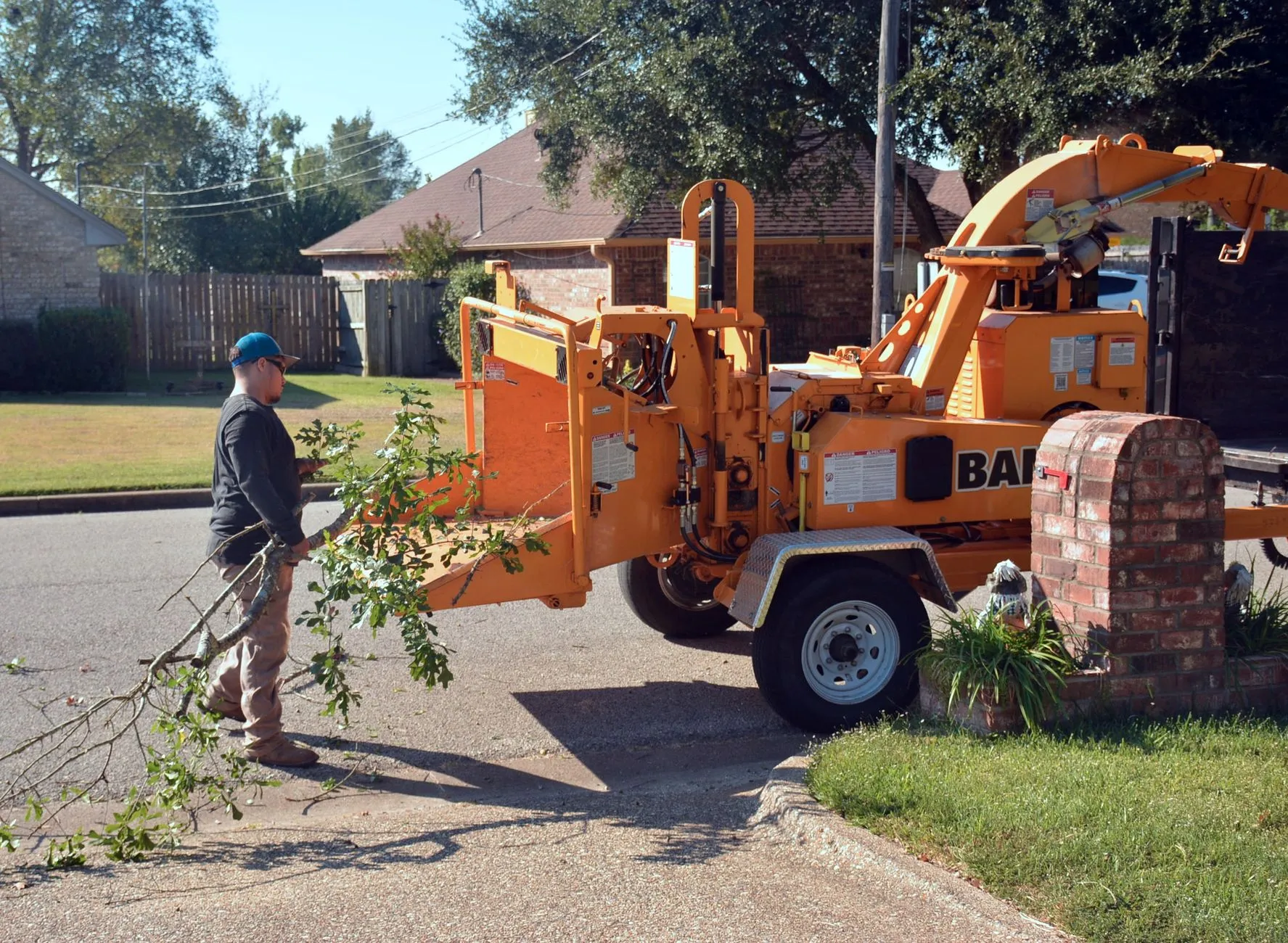 a stump grinder machine grinding a tree stump down to the ground