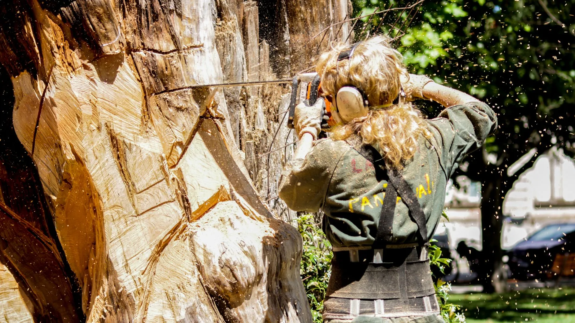 an arborist cutting a large tree trunk