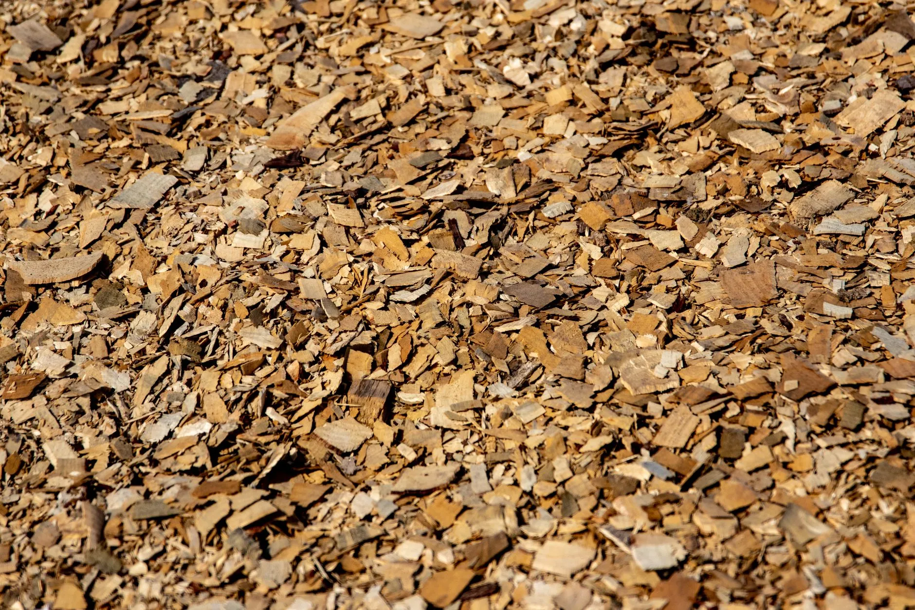 brush being ground into mulch by a forestry mulcher