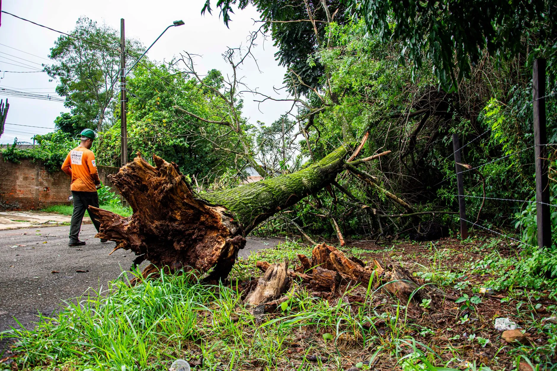 a crew clearing storm debris quickly after a storm