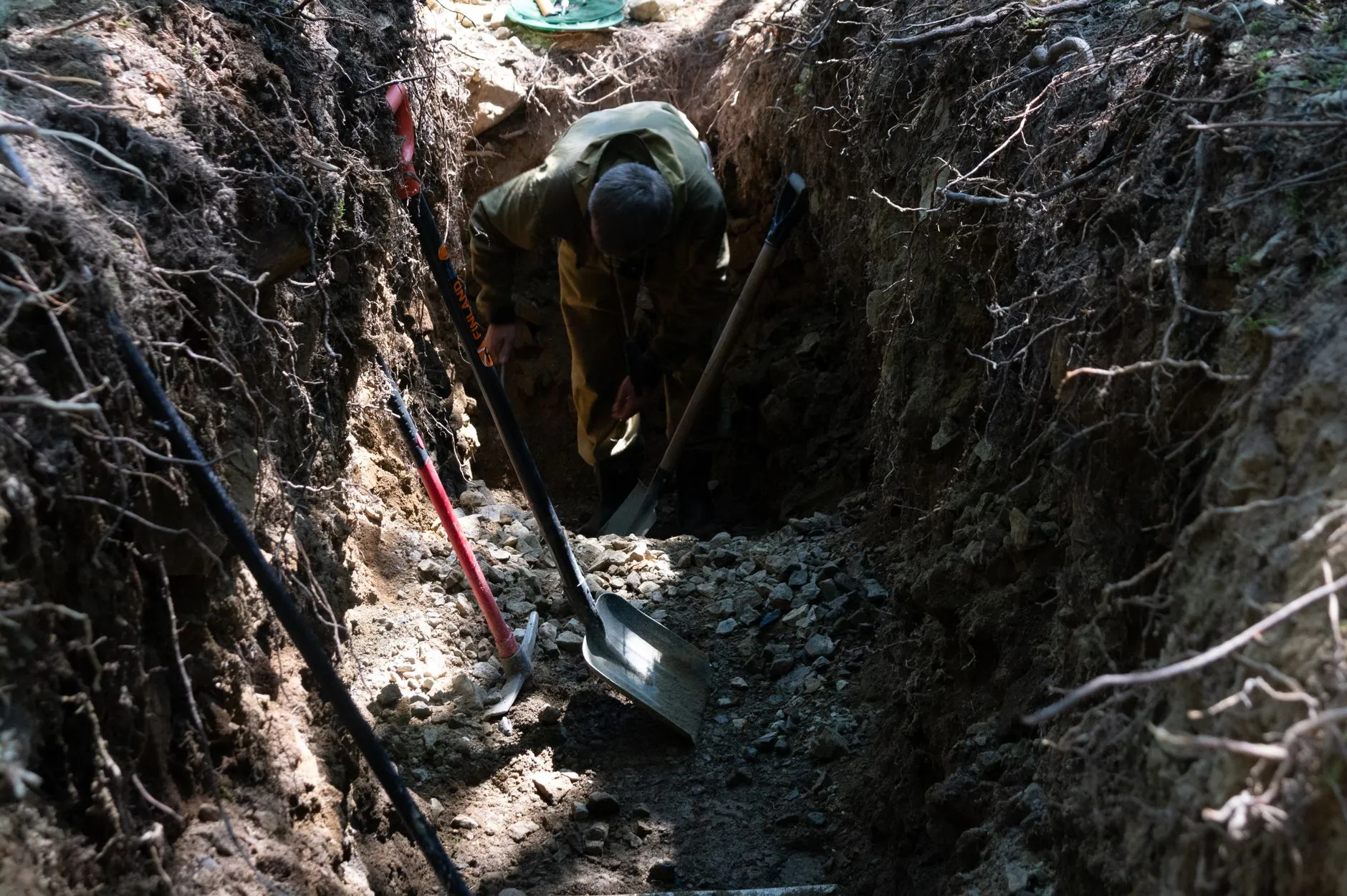 an excavated trench beside a tree for root work