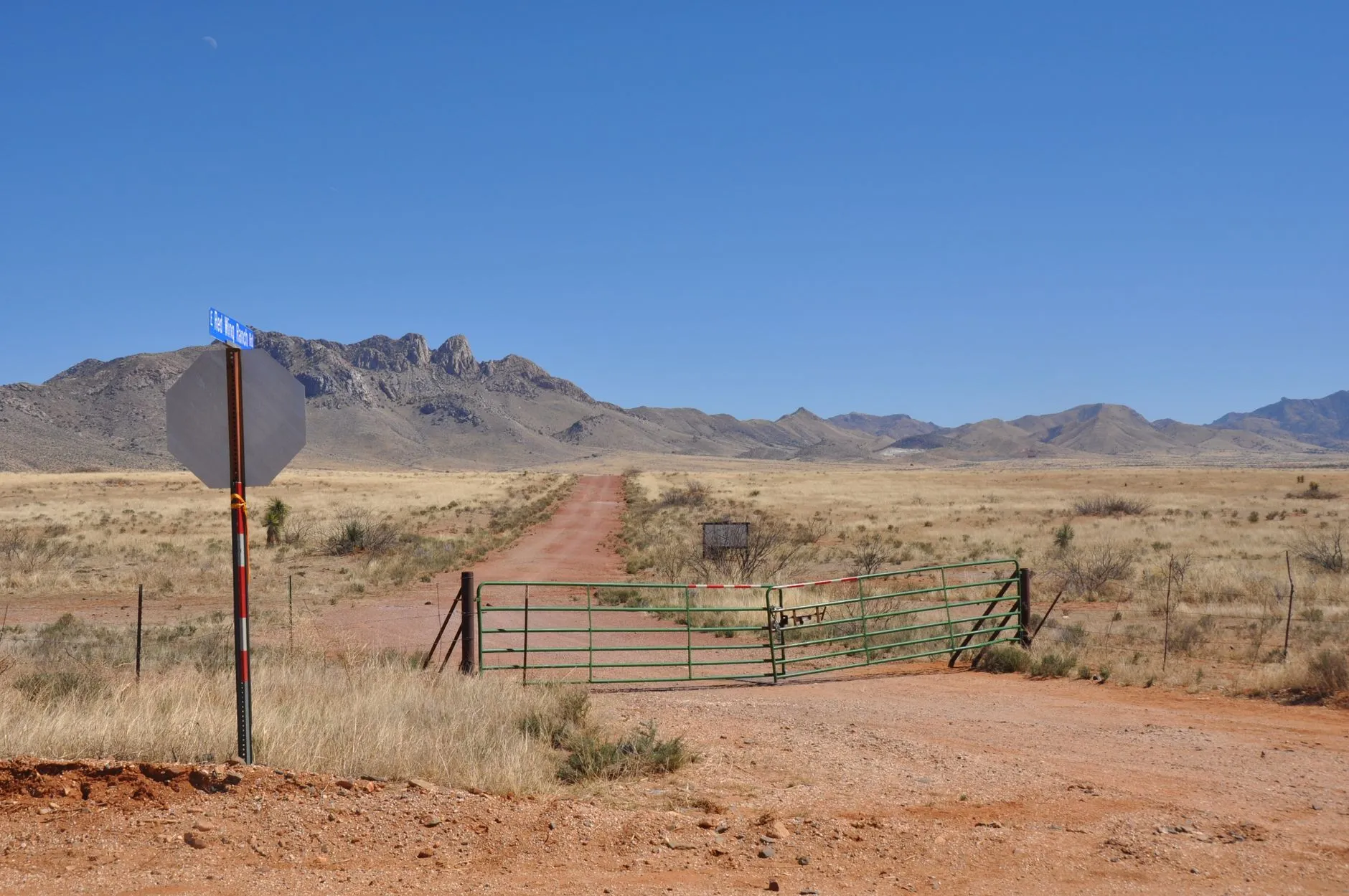 a ranch road stretching toward the horizon under a big Texas sky