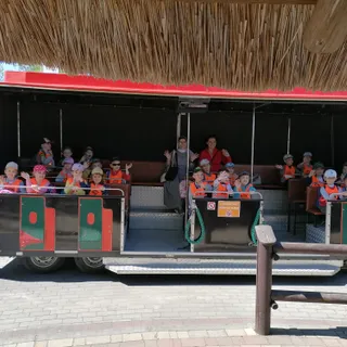 Przedszkole Publiczne Sióstr Nazaretanek Im Bł Franciszki Siedliskiej image 18