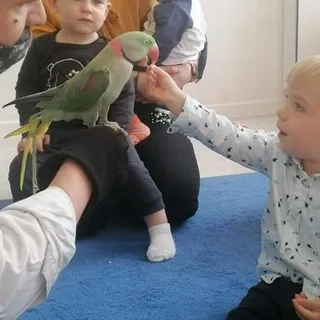 Żłobek Kubuś i Przyjaciele image 2