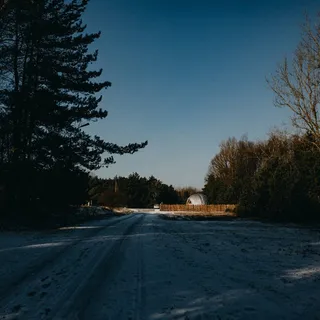 Leśne Przedszkole Dziupla image 3