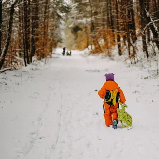 Leśne Przedszkole Dziupla image 6