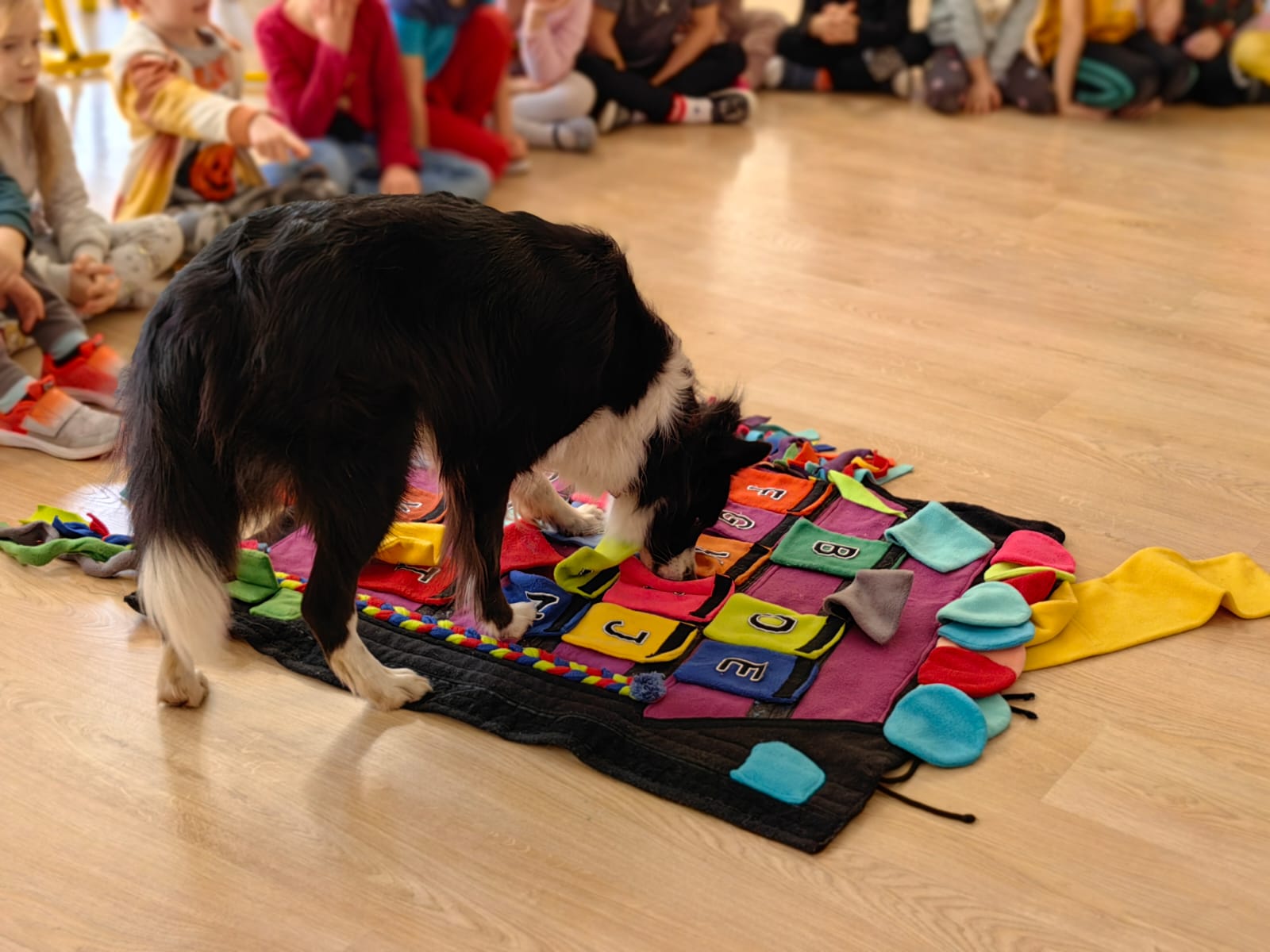 Przedszkole Miejskie Nr 29 W Gliwicach - miniatura 14