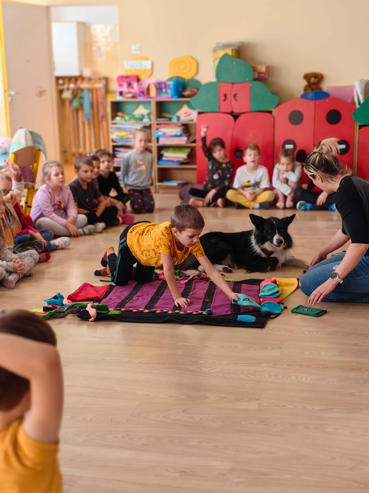 Przedszkole Miejskie Nr 29 W Gliwicach - miniatura 17