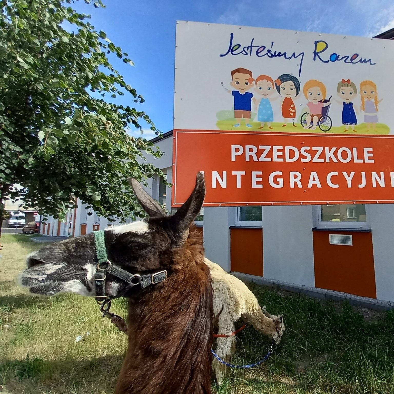 Przedszkole Integracyjne Jesteśmy Razem - Avatar