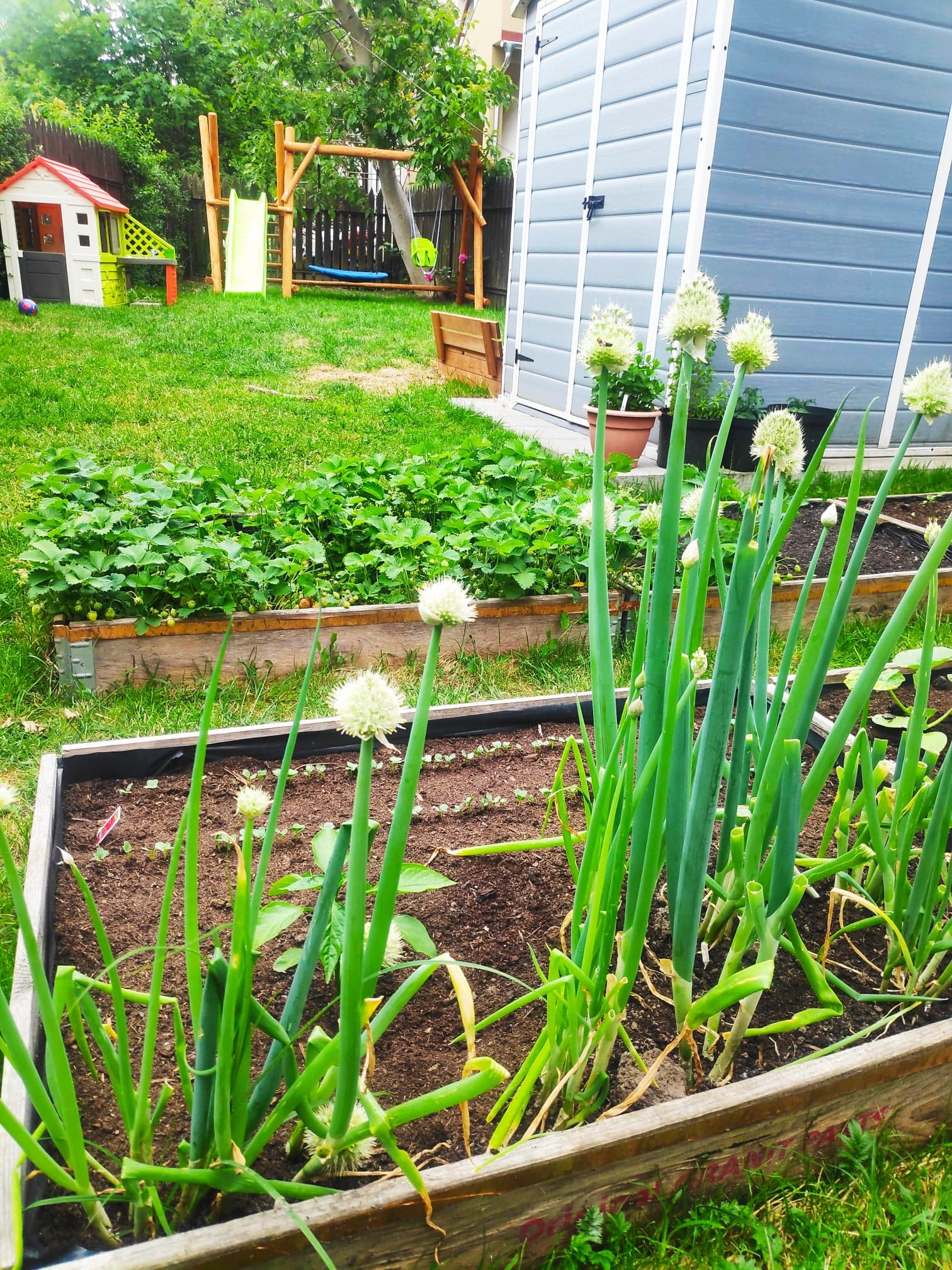 Naprawdę Blisko - miniatura 17