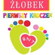 Niepubliczny Żłobek Pierwszy kroczek BNT - Avatar