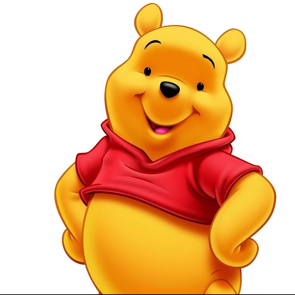 Przedszkole Miejskie Imkubusia Puchatka - Avatar