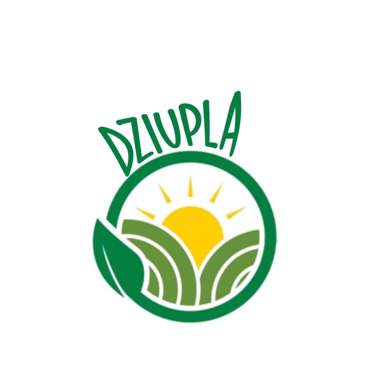 Żłobek "Dziupla" Opiekun Dzienny - Avatar