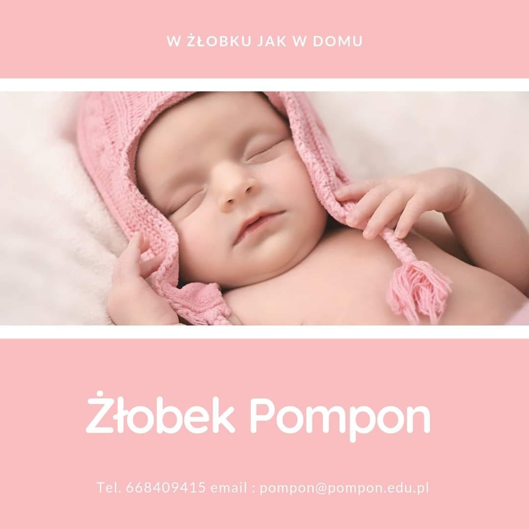 Żłobek Niepubliczny Pompon - Avatar