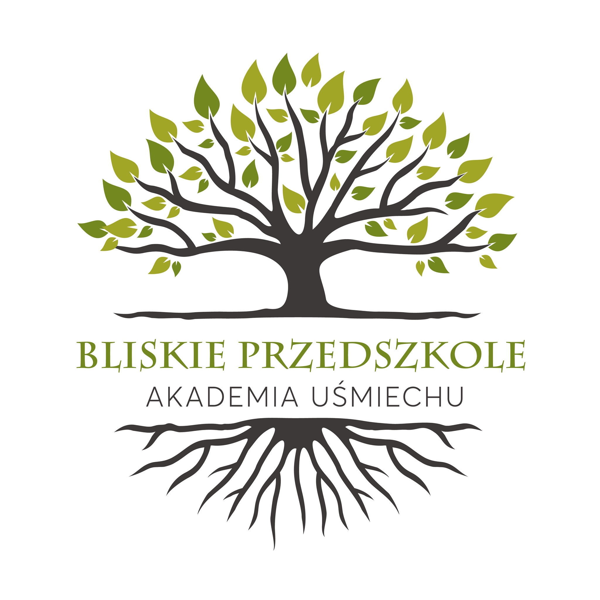 Akademia Uśmiechu - Przedszkole Artystyczne - Avatar