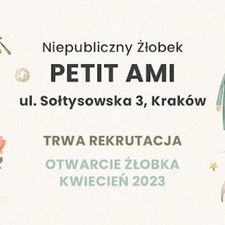 Niepubliczny Żłobek Petit Ami image 2