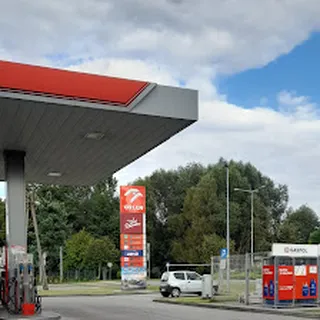 OLEŃKA image 4
