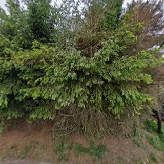 PRZEDSZKOLE NIEPUBLICZNE "WESOŁE PRZEDSZKOLE" image 2
