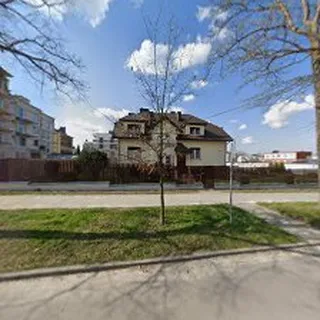 Pasikonik image 2