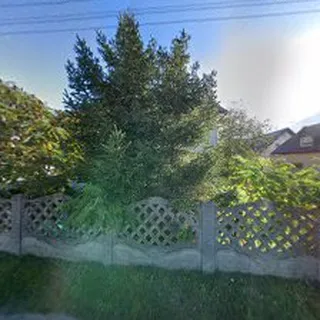 Przedszkole Niepubliczne Poziomkowo image 1