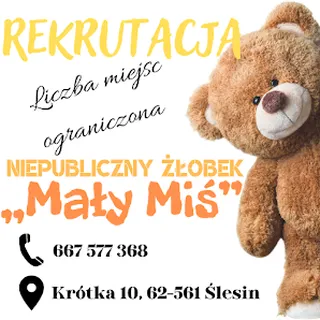 Niepubliczny Żłobek "Mały Miś" Marta Pilarska image 3