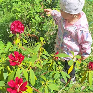 KLUB DZIECIĘCY AKADEMIA MALUCHA image 2