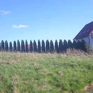 Przedszkole Niepubliczne Wróżkolandia Agnieszka Hiller image 2