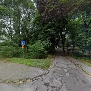 Zagłębiaczek 3 image 5