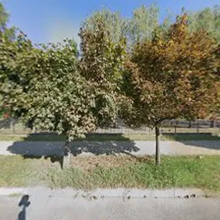Przedszkole Samorządowe Nr 14 image 1