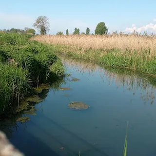 PRZEDSZKOLE W ULIMIU image 1