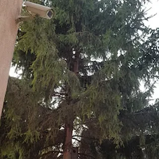 Przedszkole Nr 15 W Gdańsku image 3